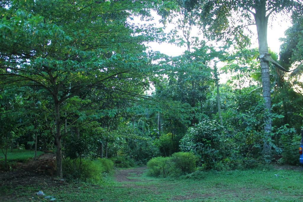 Abberny Villa Midigama East Quarto foto